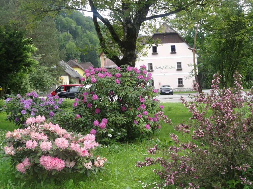 Gasthof Eschau Palfau Exterior photo